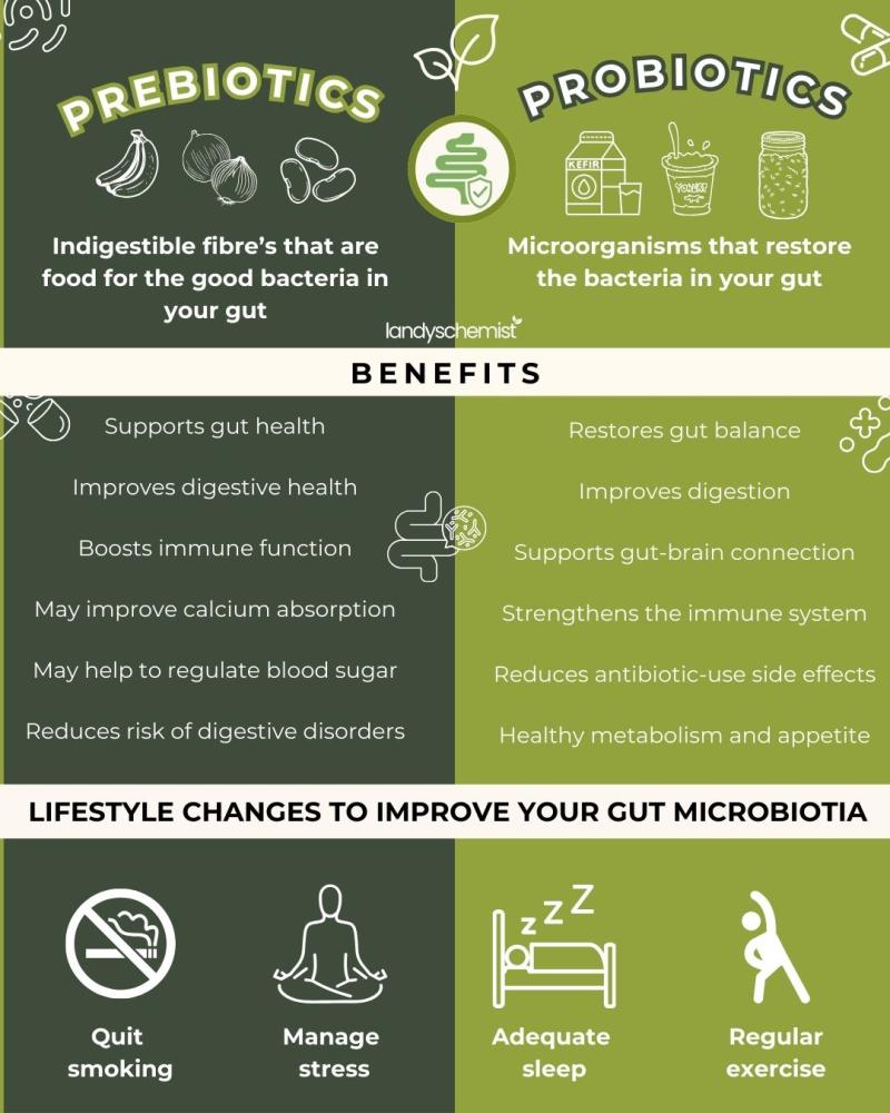 prebiotics vs. probiotics