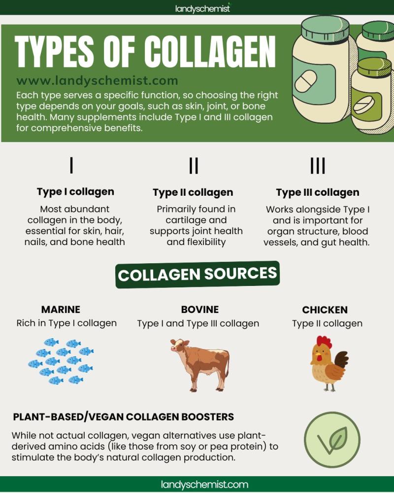 TYPES OF COLLAGEN AND THEIR SOURCES