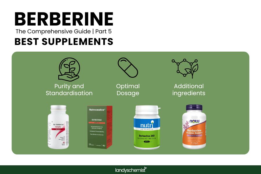 berberine supplement recommendations