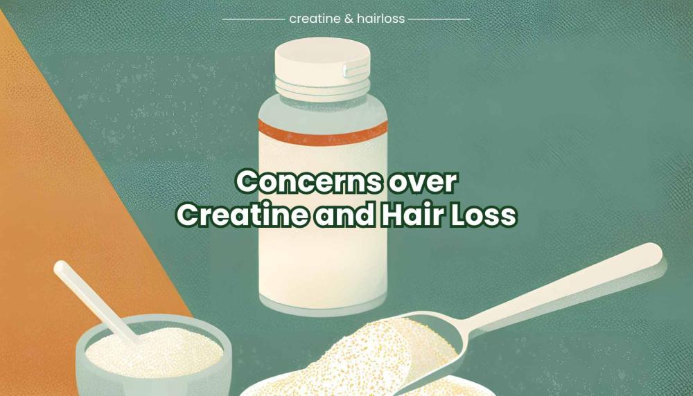 creatine and hair loss research