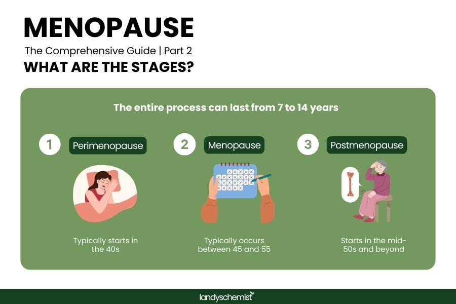 what are the stages of menopause