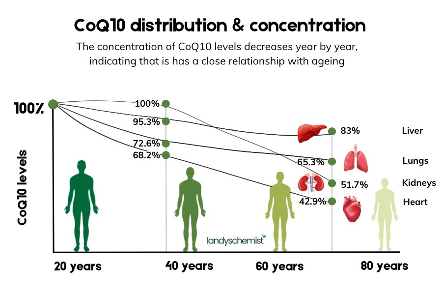 coq10 decreases with age