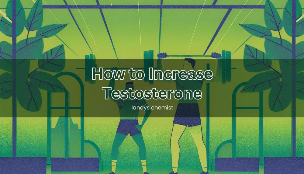 how to increase testosterone fast