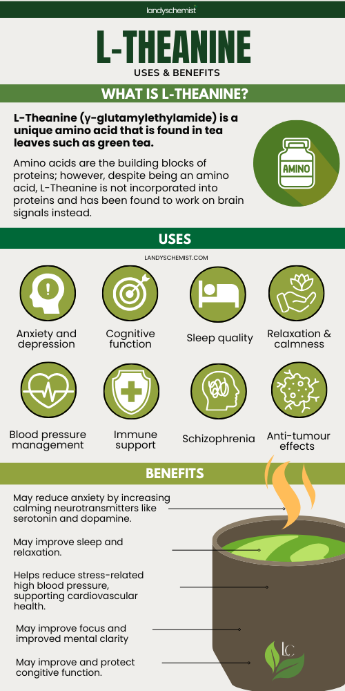 l-theanine benefits infographic