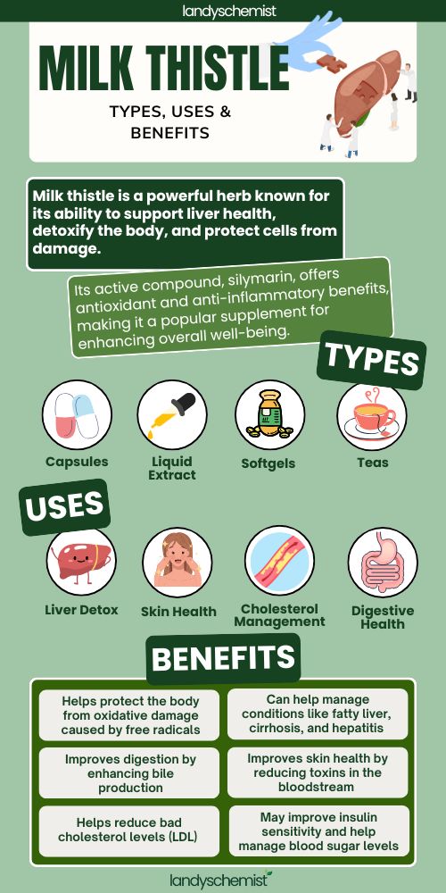 milk thistle types uses and benefits