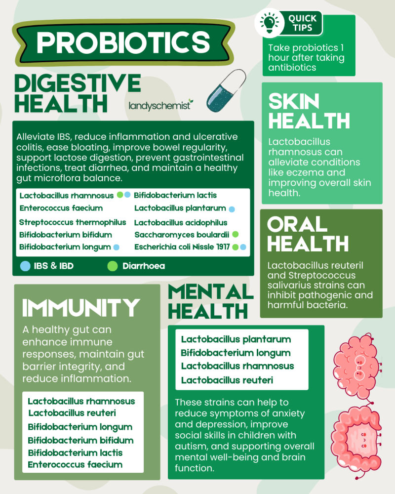 probiotics gut health guide infographic