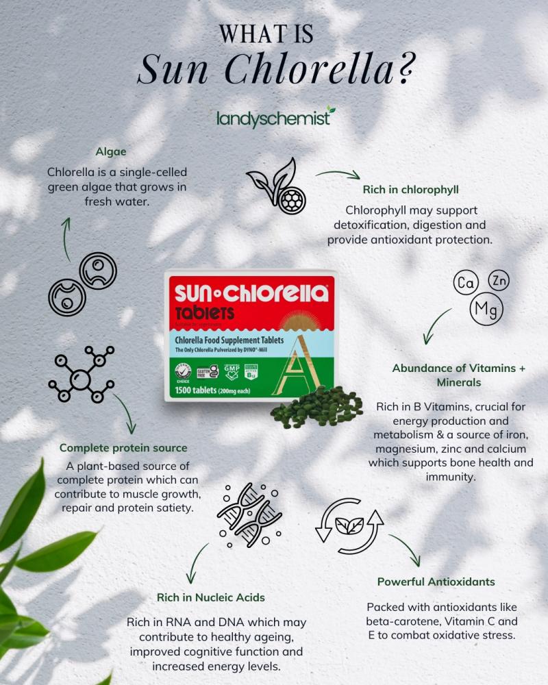 sun chlorella nutritional health benefits