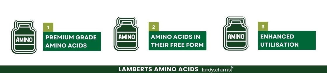 Amino Acids