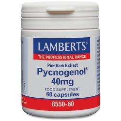 Lamberts Pycnogenol Capsules 60