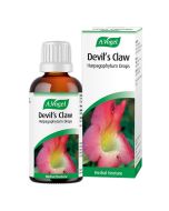 A.Vogel Devil's Claw 50ml