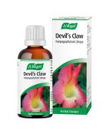 A.Vogel Devil's Claw 100ml