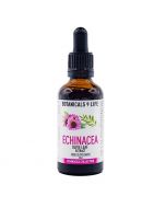 Botanicals4Life Echinacea & Olive Leaf Tincture 50ml