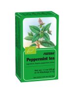 Floradix Peppermint Teabags 15