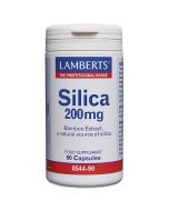 Lamberts Silica 200mg Capsules 90