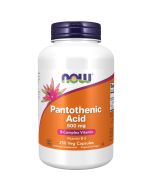 NOW Foods Pantothenic Acid 500mg Capsules 250
