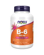 NOW Foods Vitamin B-6 100mg Capsules 250
