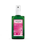 Weleda Wild Rose Deodorant 100ml