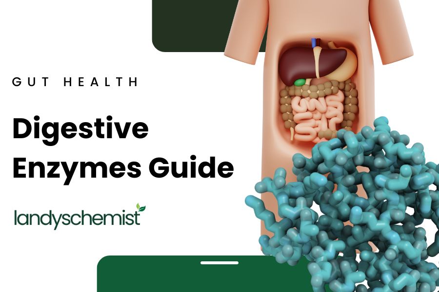 Digestive enzymes guide