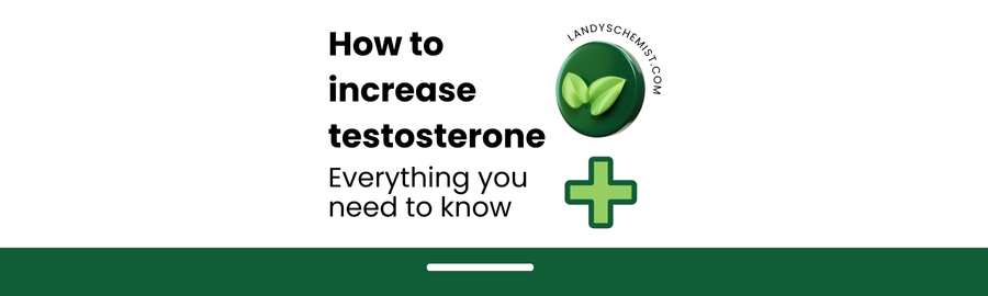 how to increase testosterone levels