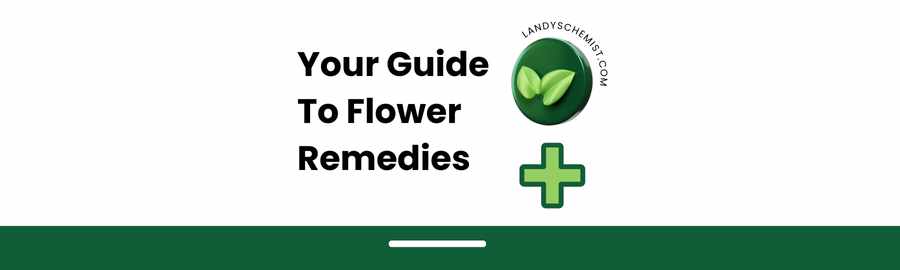 your guide to flower remedies